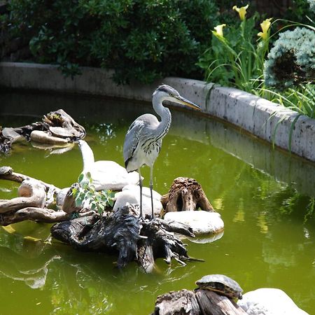 Отель Al Giardino Fanna Экстерьер фото